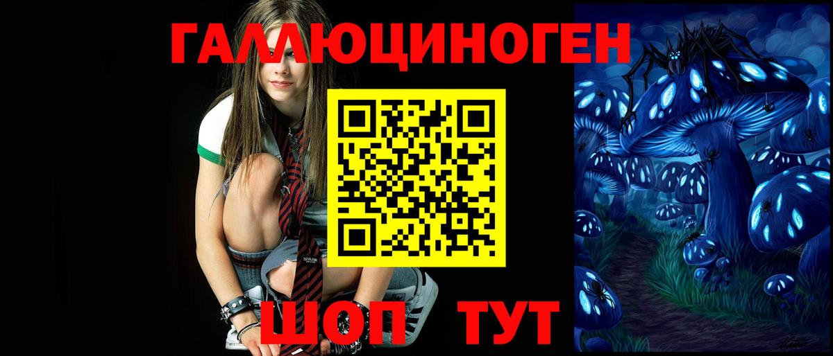 Новошахтинск  Псилоцибиновые грибы Psilocybe  Вход с VPN 